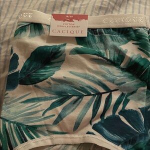 Cacique Green and Blue Leaf Print Brief Size 18/20